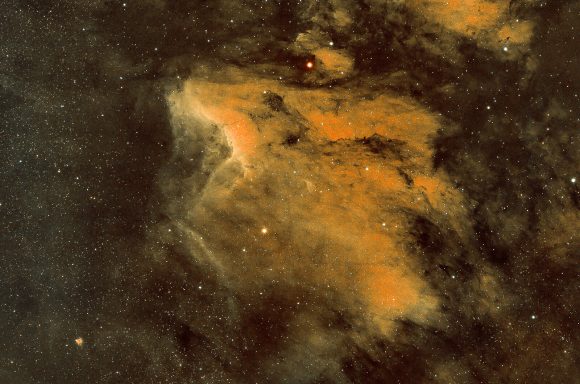 Pelican Nebula